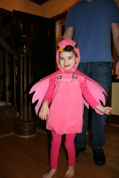 Maddie was a flamingo for Halloween